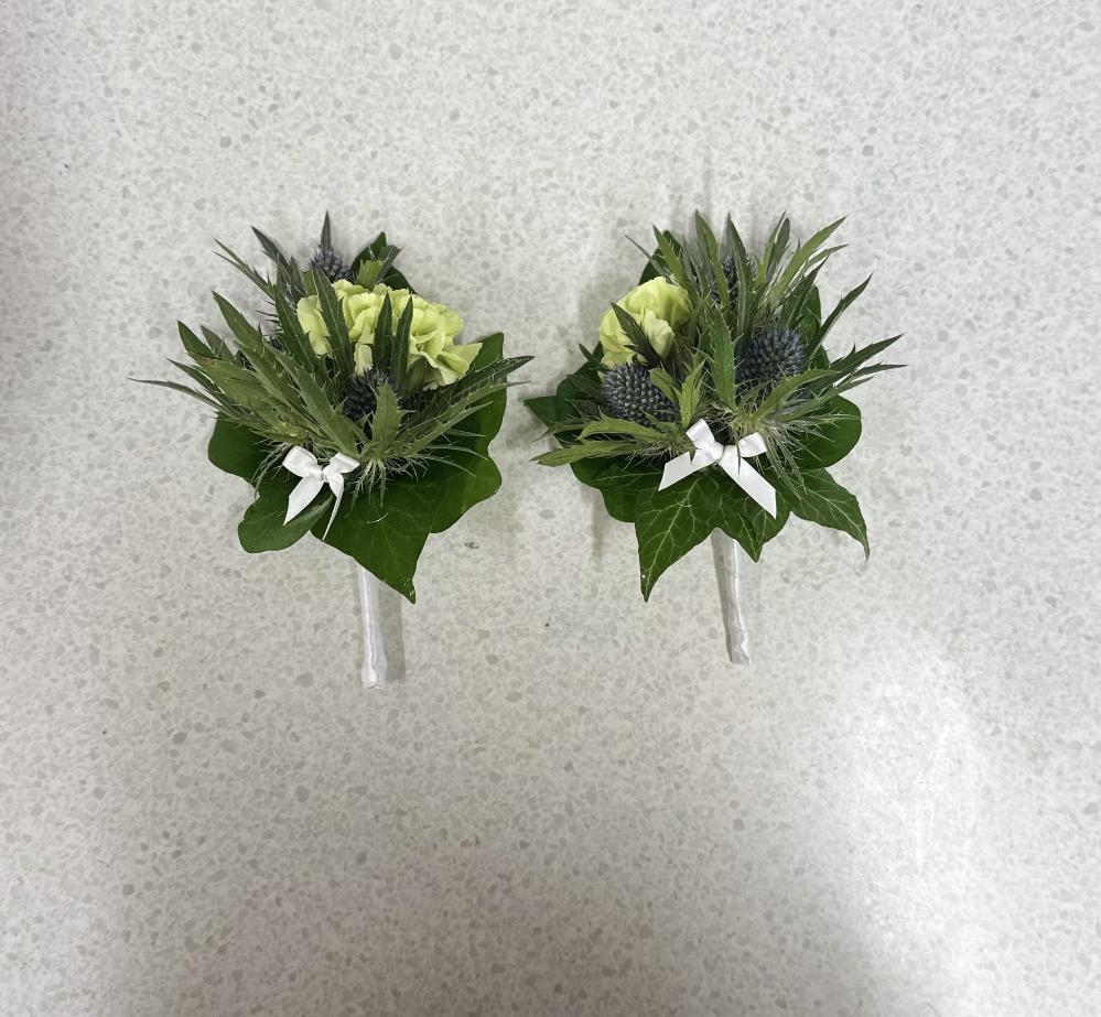 Pair of gents buttonholes - fresh thistles and green carnation