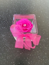 Everlasting Rose