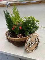 Festive Hanging Basket