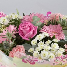 Flora