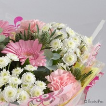 Flora